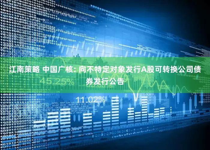 江南策略 中国广核: 向不特定对象发行A股可转换公司债券发行公告
